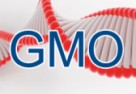 Ważne informacje o GMO