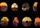 Owoce w czekoladzie - Marcin Paździor radzi