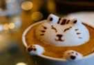 Kocie kawiarnie