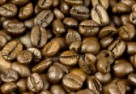 Zmagania specjalistów od kawy – Mistrzostwa Polski Barista i Coffee in Good Spirits