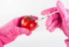 Superżywność przyszłości czy puszka Pandory? GMO pod lupą Katarzyny Lisowskiej
