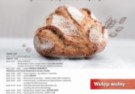 XXIII Radomskie Święta Chleba