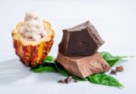 WholeFruit Chocolate - 100% kakaowca w jednej tabliczce