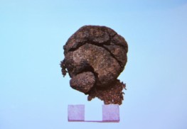 Najstarszy chleb odkryty przez archeologów w Turcji